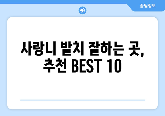 전라남도 함평군 해보면 사랑니 발치 치과 가격 비용 잘하는 곳 추천 BEST 10 비교 가이드
