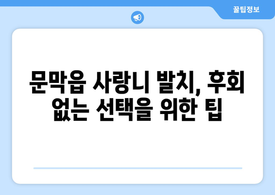 강원도 원주시 문막읍 사랑니 발치 치과 가격 비용 잘하는 곳 추천 BEST 10 비교 가이드