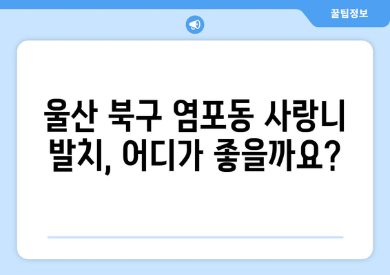 울산시 북구 염포동 사랑니 발치 치과 가격 비용 잘하는 곳 추천 BEST 10 비교 가이드