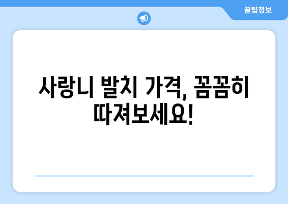 전라남도 광양시 옥룡면 사랑니 발치 치과 가격 비용 잘하는 곳 추천 BEST 10 비교 가이드
