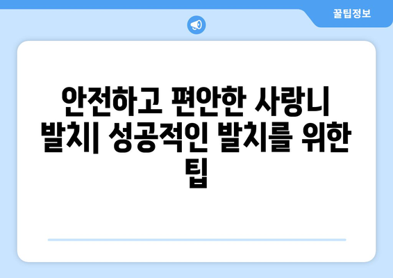 인천시 동구 화수2동 사랑니 발치 치과 가격 비용 잘하는 곳 추천 BEST 10 비교 가이드