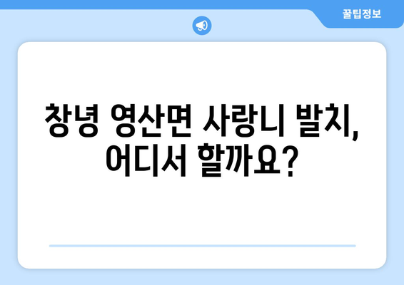 경상남도 창녕군 영산면 사랑니 발치 치과 가격 비용 잘하는 곳 추천 BEST 10 비교 가이드