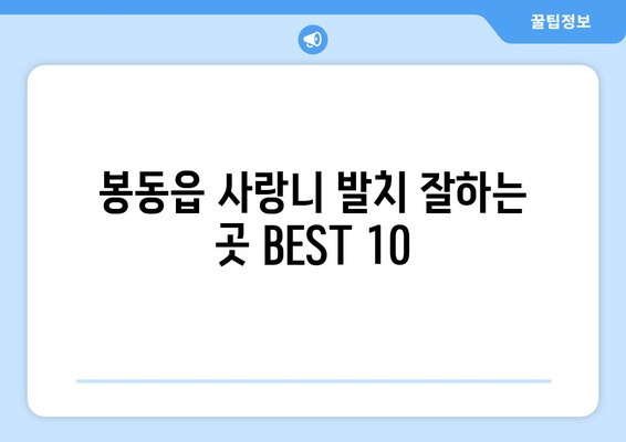 전라북도 완주군 봉동읍 사랑니 발치 치과 가격 비용 잘하는 곳 추천 BEST 10 비교 가이드
