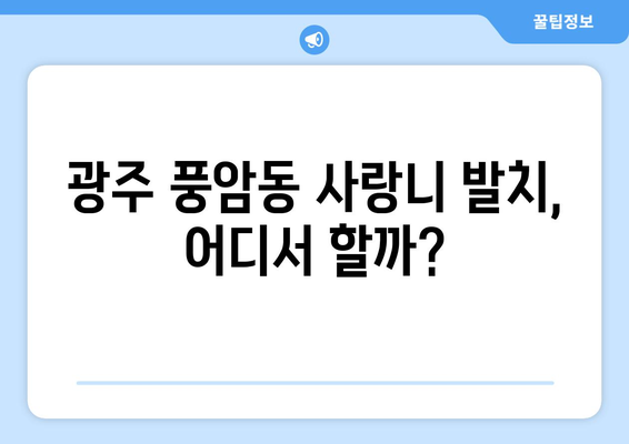 광주시 서구 풍암동 사랑니 발치 치과 가격 비용 잘하는 곳 추천 BEST 10 비교 가이드