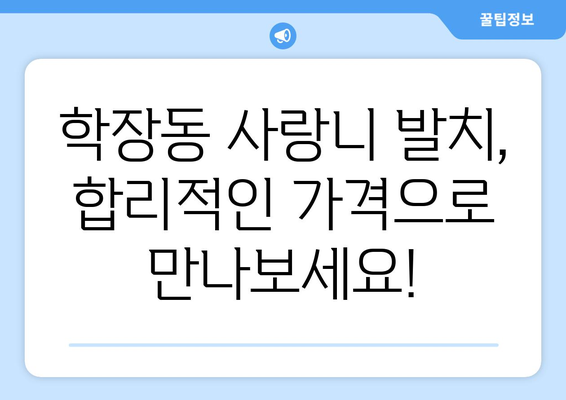 부산시 사상구 학장동 사랑니 발치 치과 가격 비용 잘하는 곳 추천 BEST 10 비교 가이드