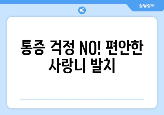 제주도 제주시 오라동 사랑니 발치 치과 가격 비용 잘하는 곳 추천 BEST 10 비교 가이드