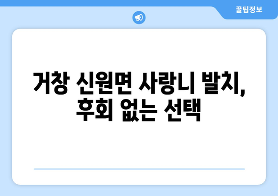 경상남도 거창군 신원면 사랑니 발치 치과 가격 비용 잘하는 곳 추천 BEST 10 비교 가이드