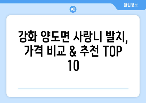 인천시 강화군 양도면 사랑니 발치 치과 가격 비용 잘하는 곳 추천 BEST 10 비교 가이드