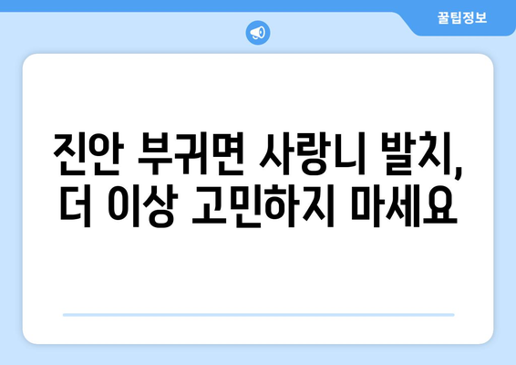 전라북도 진안군 부귀면 사랑니 발치 치과 가격 비용 잘하는 곳 추천 BEST 10 비교 가이드