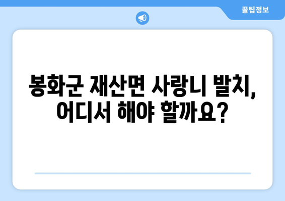 경상북도 봉화군 재산면 사랑니 발치 치과 가격 비용 잘하는 곳 추천 BEST 10 비교 가이드