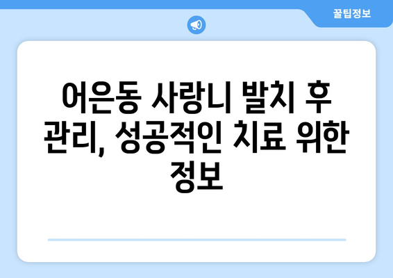 대전시 유성구 어은동 사랑니 발치 치과 가격 비용 잘하는 곳 추천 BEST 10 비교 가이드