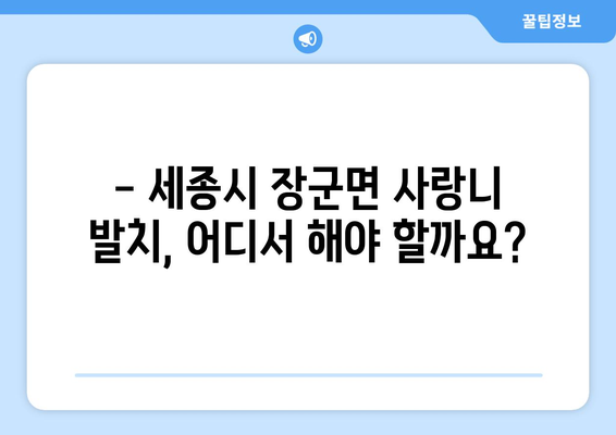 세종시 세종특별자치시 장군면 사랑니 발치 치과 가격 비용 잘하는 곳 추천 BEST 10 비교 가이드