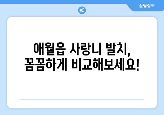 제주도 제주시 애월읍 사랑니 발치 치과 가격 비용 잘하는 곳 추천 BEST 10 비교 가이드
