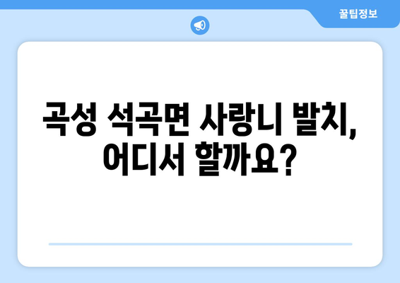 전라남도 곡성군 석곡면 사랑니 발치 치과 가격 비용 잘하는 곳 추천 BEST 10 비교 가이드