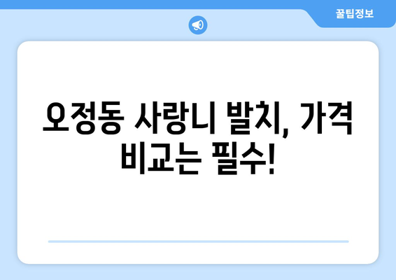대전시 대덕구 오정동 사랑니 발치 치과 가격 비용 잘하는 곳 추천 BEST 10 비교 가이드