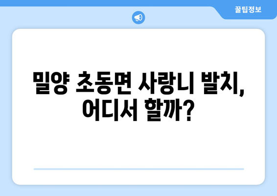 경상남도 밀양시 초동면 사랑니 발치 치과 가격 비용 잘하는 곳 추천 BEST 10 비교 가이드