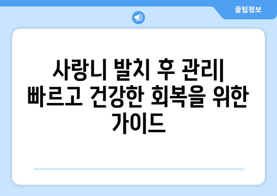 인천시 동구 화수2동 사랑니 발치 치과 가격 비용 잘하는 곳 추천 BEST 10 비교 가이드