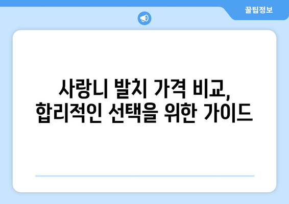 경상남도 의령군 유곡면 사랑니 발치 치과 가격 비용 잘하는 곳 추천 BEST 10 비교 가이드