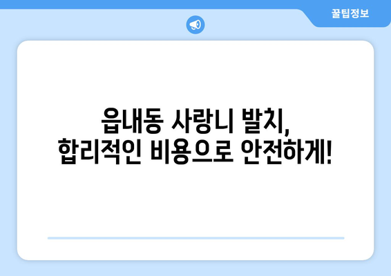 대구시 북구 읍내동 사랑니 발치 치과 가격 비용 잘하는 곳 추천 BEST 10 비교 가이드