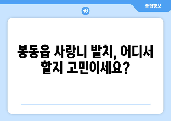 전라북도 완주군 봉동읍 사랑니 발치 치과 가격 비용 잘하는 곳 추천 BEST 10 비교 가이드