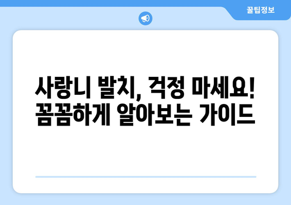 대구시 동구 도평동 사랑니 발치 치과 가격 비용 잘하는 곳 추천 BEST 10 비교 가이드