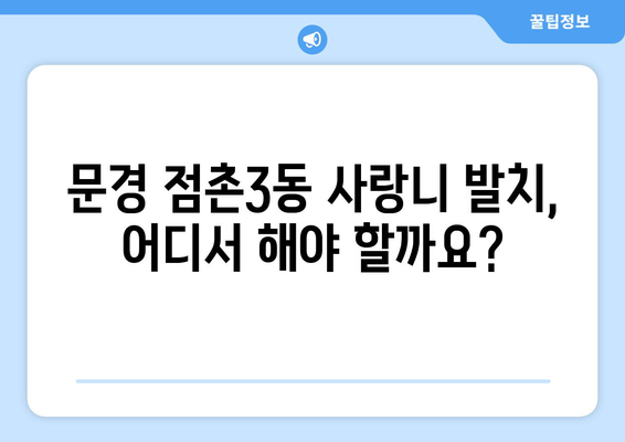경상북도 문경시 점촌3동 사랑니 발치 치과 가격 비용 잘하는 곳 추천 BEST 10 비교 가이드
