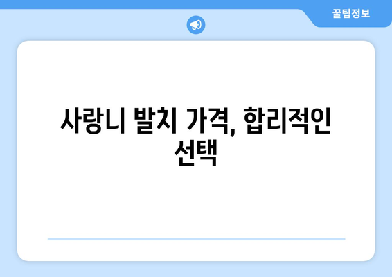 경상북도 봉화군 재산면 사랑니 발치 치과 가격 비용 잘하는 곳 추천 BEST 10 비교 가이드