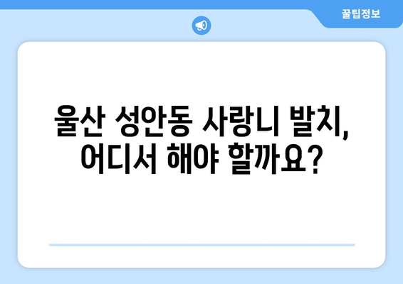 울산시 중구 성안동 사랑니 발치 치과 가격 비용 잘하는 곳 추천 BEST 10 비교 가이드