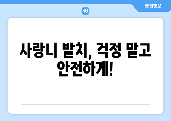 경상북도 경산시 중앙동 사랑니 발치 치과 가격 비용 잘하는 곳 추천 BEST 10 비교 가이드