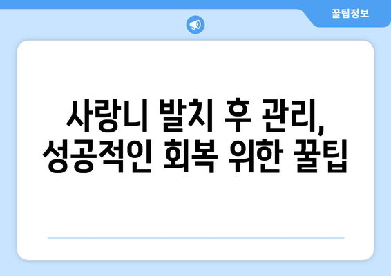 경상남도 의령군 유곡면 사랑니 발치 치과 가격 비용 잘하는 곳 추천 BEST 10 비교 가이드