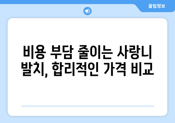 충청북도 청주시 서원구 모충동 사랑니 발치 치과 가격 비용 잘하는 곳 추천 BEST 10 비교 가이드