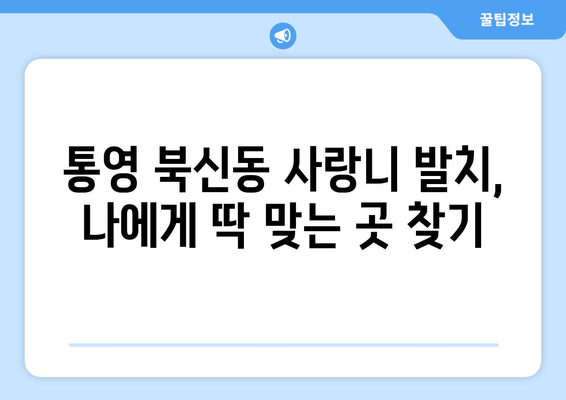 경상남도 통영시 북신동 사랑니 발치 치과 가격 비용 잘하는 곳 추천 BEST 10 비교 가이드