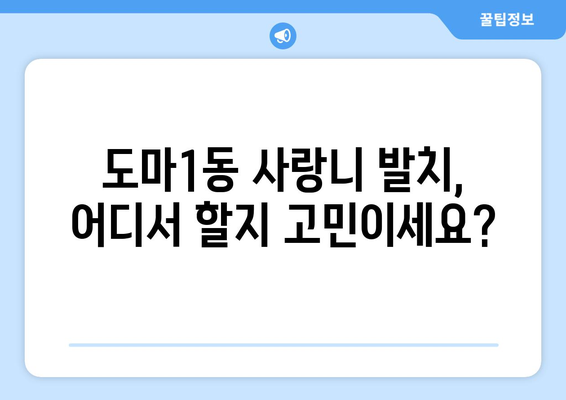 대전시 서구 도마1동 사랑니 발치 치과 가격 비용 잘하는 곳 추천 BEST 10 비교 가이드