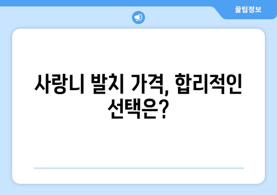 제주도 제주시 오라동 사랑니 발치 치과 가격 비용 잘하는 곳 추천 BEST 10 비교 가이드