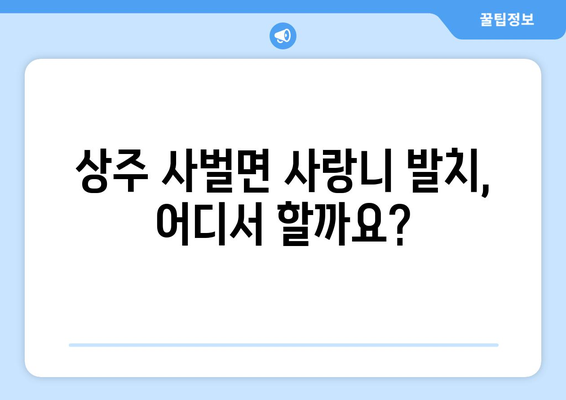 경상북도 상주시 사벌면 사랑니 발치 치과 가격 비용 잘하는 곳 추천 BEST 10 비교 가이드