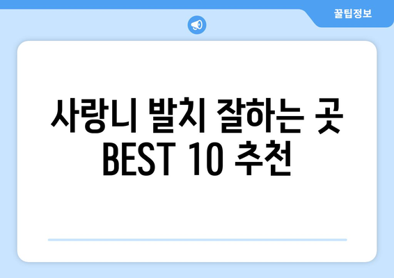 경상북도 상주시 사벌면 사랑니 발치 치과 가격 비용 잘하는 곳 추천 BEST 10 비교 가이드