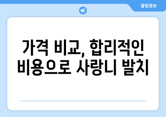 강원도 속초시 교동 사랑니 발치 치과 가격 비용 잘하는 곳 추천 BEST 10 비교 가이드
