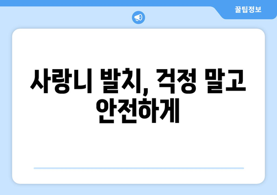 전라북도 군산시 문화동 사랑니 발치 치과 가격 비용 잘하는 곳 추천 BEST 10 비교 가이드