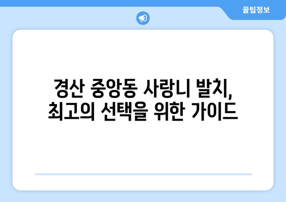 경상북도 경산시 중앙동 사랑니 발치 치과 가격 비용 잘하는 곳 추천 BEST 10 비교 가이드