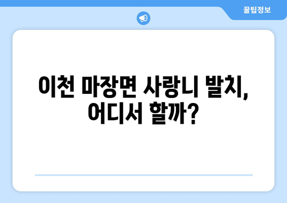 경기도 이천시 마장면 사랑니 발치 치과 가격 비용 잘하는 곳 추천 BEST 10 비교 가이드