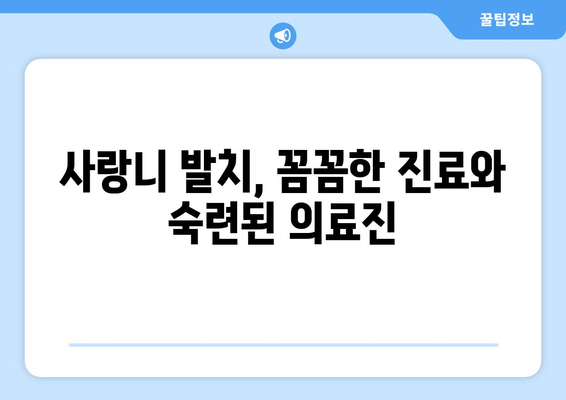 경기도 광주시 도척면 사랑니 발치 치과 가격 비용 잘하는 곳 추천 BEST 10 비교 가이드