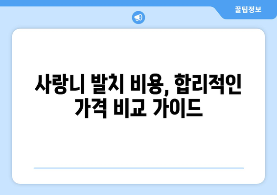 충청북도 단양군 대강면 사랑니 발치 치과 가격 비용 잘하는 곳 추천 BEST 10 비교 가이드
