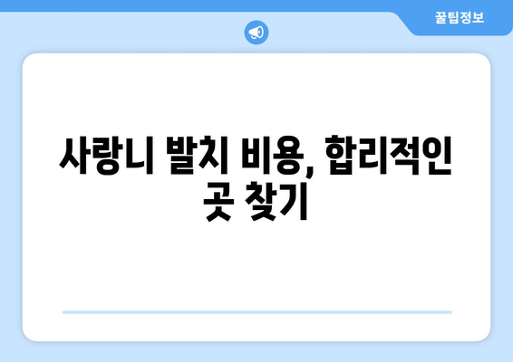 경상남도 거창군 고제면 사랑니 발치 치과 가격 비용 잘하는 곳 추천 BEST 10 비교 가이드