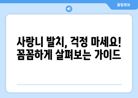 울산시 북구 염포동 사랑니 발치 치과 가격 비용 잘하는 곳 추천 BEST 10 비교 가이드