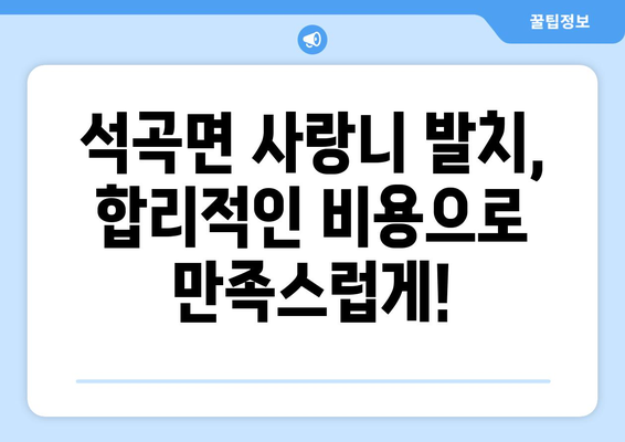 전라남도 곡성군 석곡면 사랑니 발치 치과 가격 비용 잘하는 곳 추천 BEST 10 비교 가이드