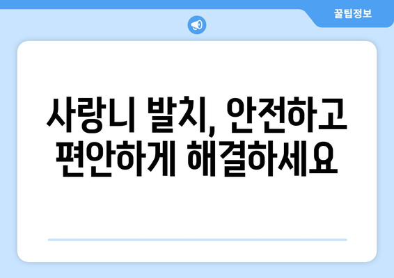 전라북도 남원시 이백면 사랑니 발치 치과 가격 비용 잘하는 곳 추천 BEST 10 비교 가이드