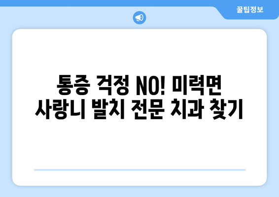 전라남도 보성군 미력면 사랑니 발치 치과 가격 비용 잘하는 곳 추천 BEST 10 비교 가이드