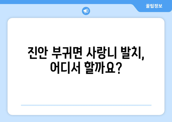 전라북도 진안군 부귀면 사랑니 발치 치과 가격 비용 잘하는 곳 추천 BEST 10 비교 가이드
