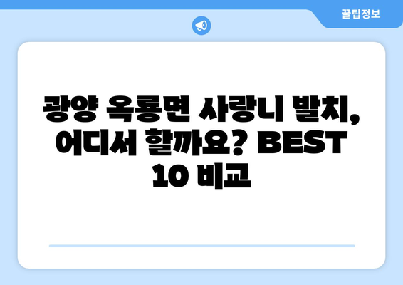 전라남도 광양시 옥룡면 사랑니 발치 치과 가격 비용 잘하는 곳 추천 BEST 10 비교 가이드