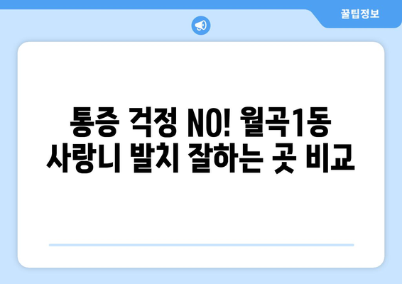 광주시 광산구 월곡1동 사랑니 발치 치과 가격 비용 잘하는 곳 추천 BEST 10 비교 가이드